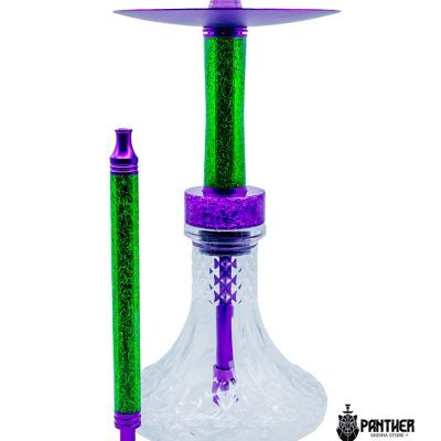 Chameleon Urban Style Green Purple - Imagen 1